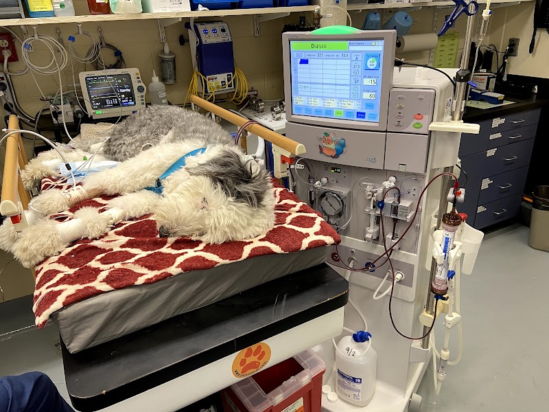 Tufts Veterinary Emergency Treatment & Specialties