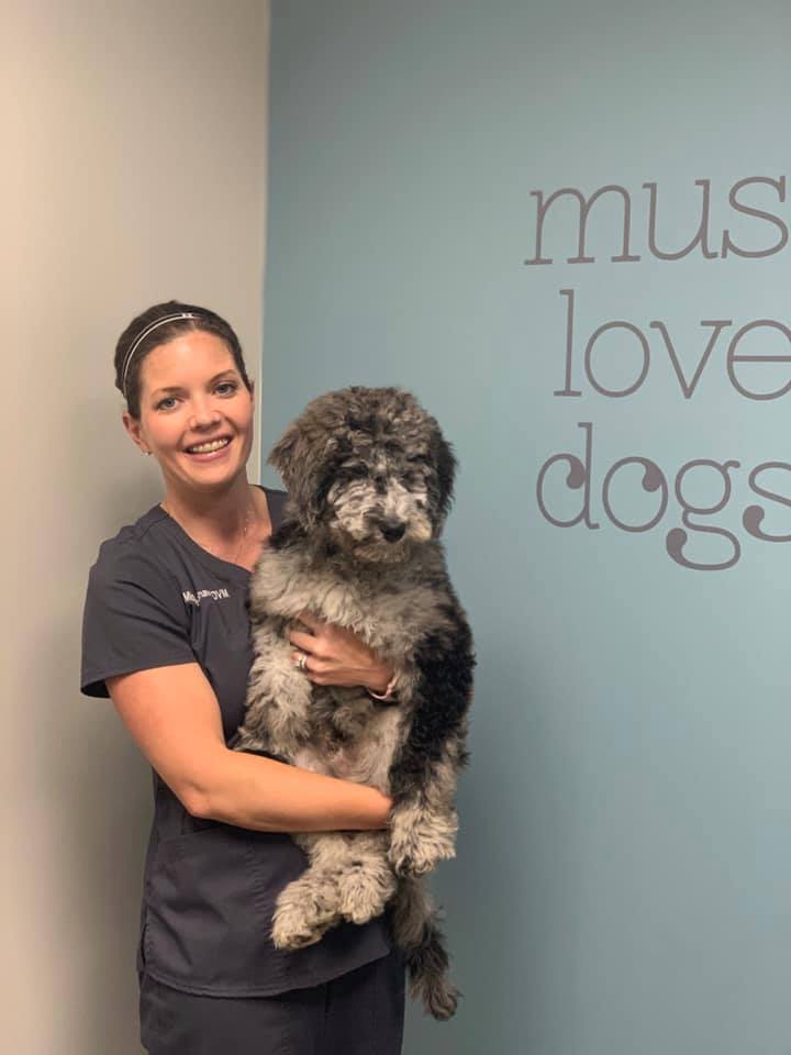 Dominion Crossing Veterinary Hospital