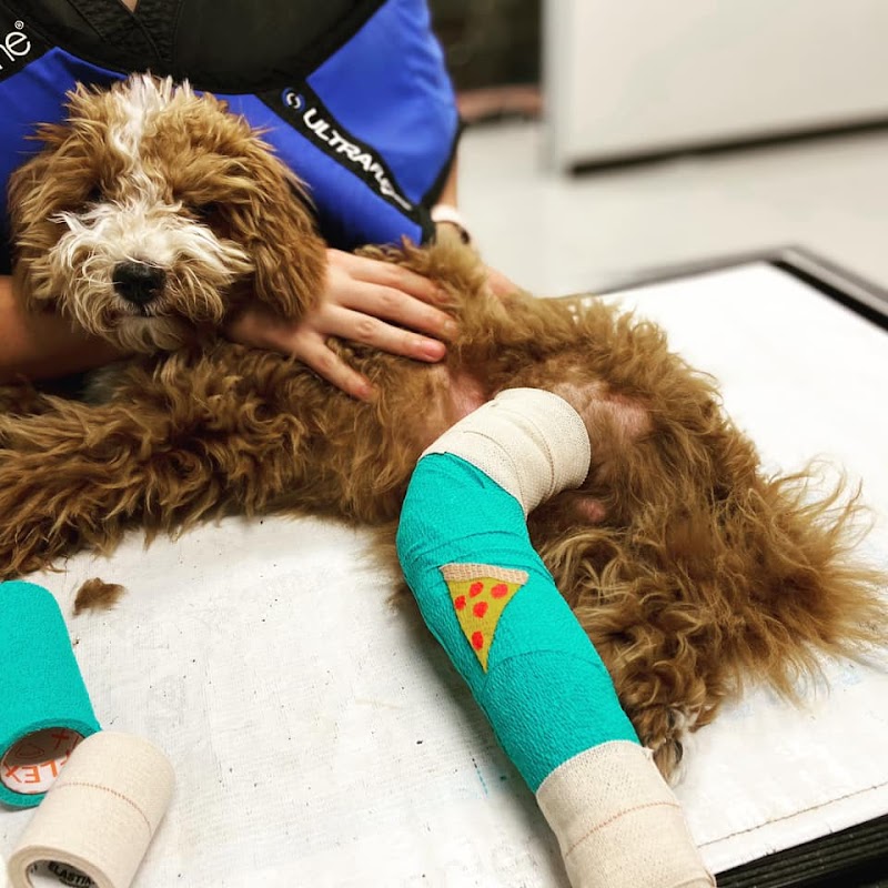 Dominion Crossing Veterinary Hospital