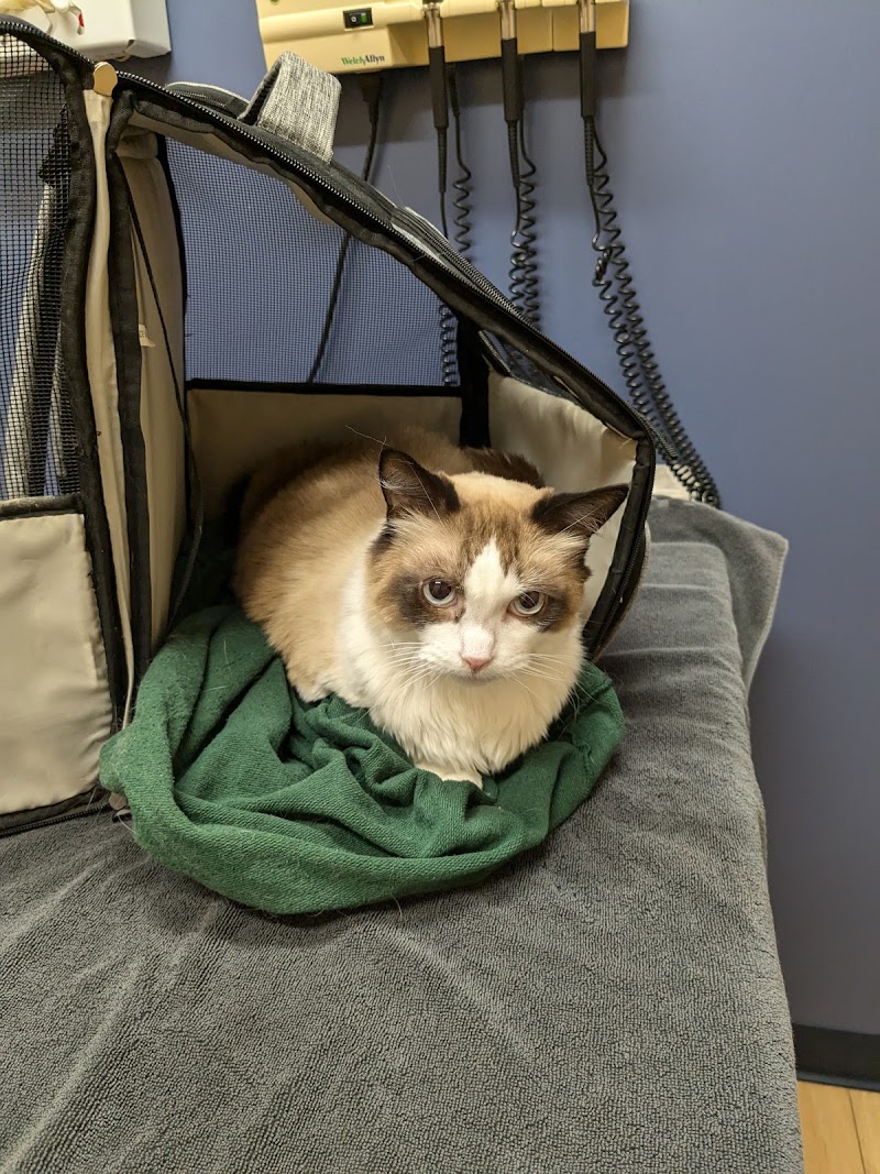 Riser Animal Hospital