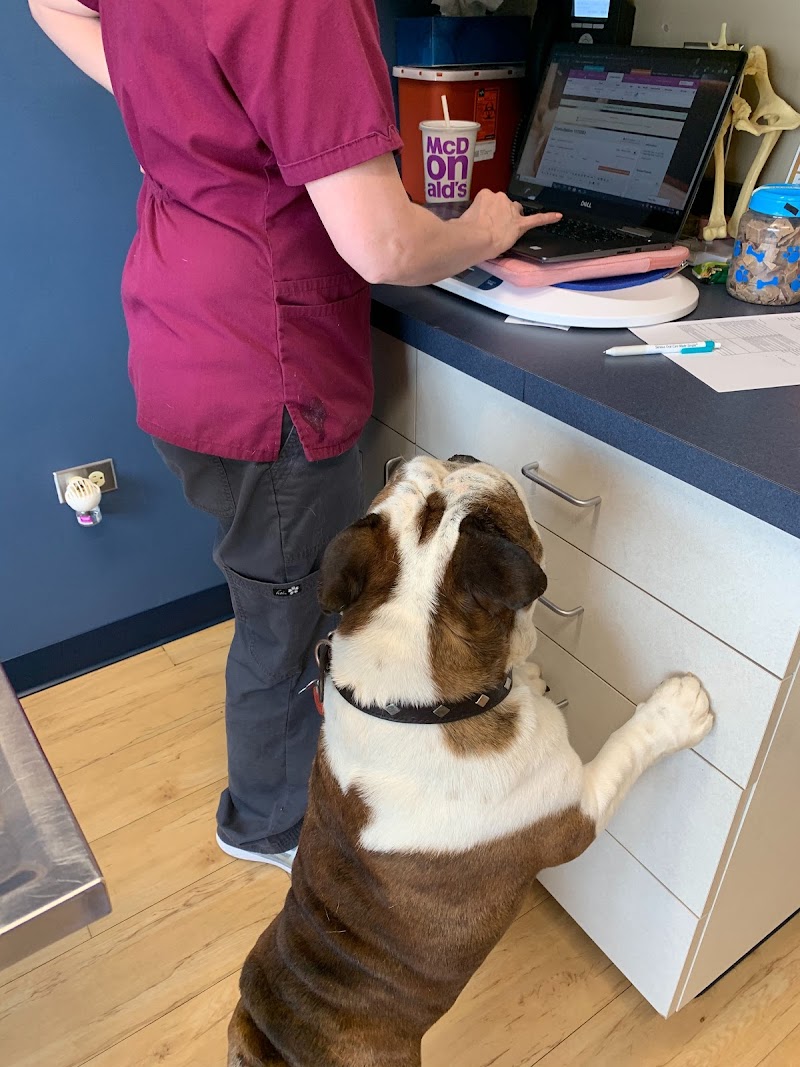 Riser Animal Hospital