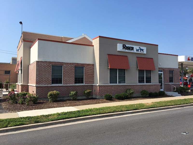 Riser Animal Hospital - Chicago