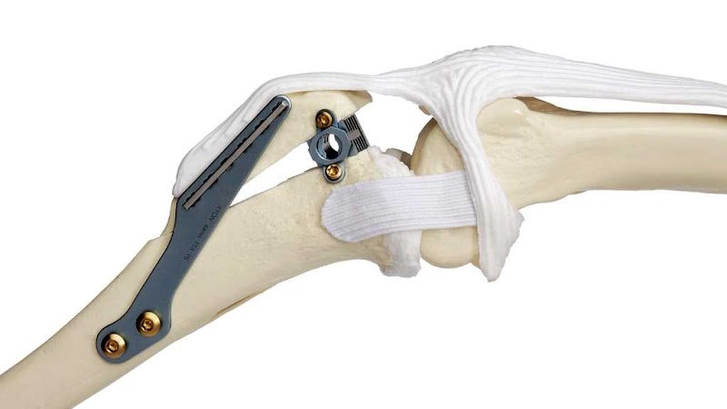 VelVet Surgical Services