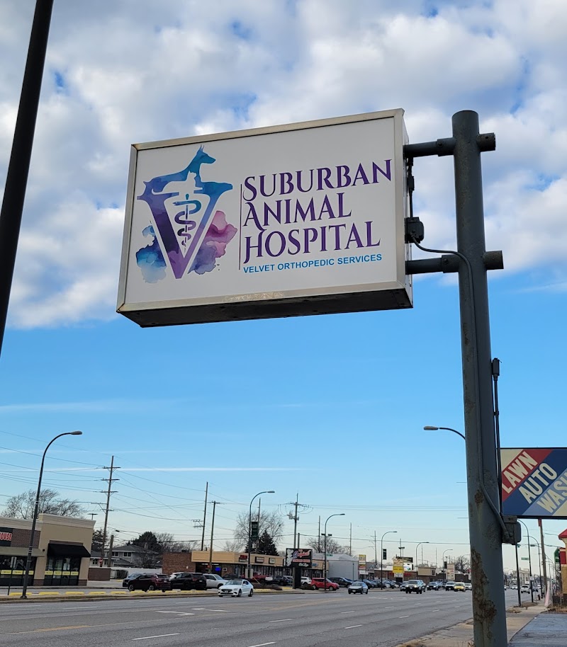 VelVet Surgical Services