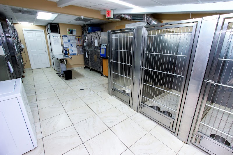 Animal Care & Surgical Hospital