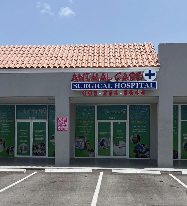 Animal Care & Surgical Hospital