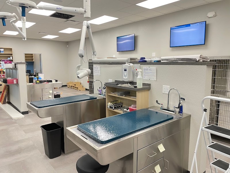 CityVet | Old East Dallas