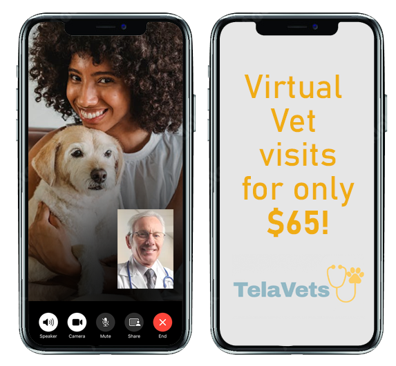 Telavets