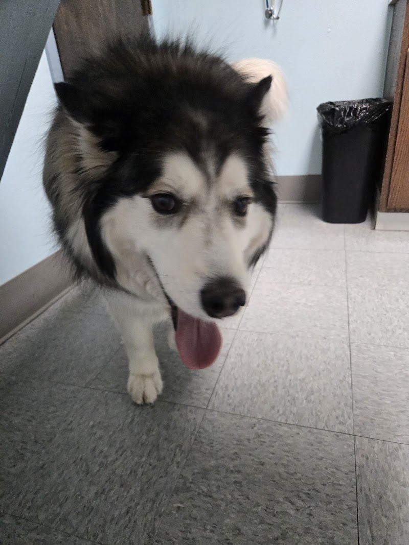Barnes Veterinary Service