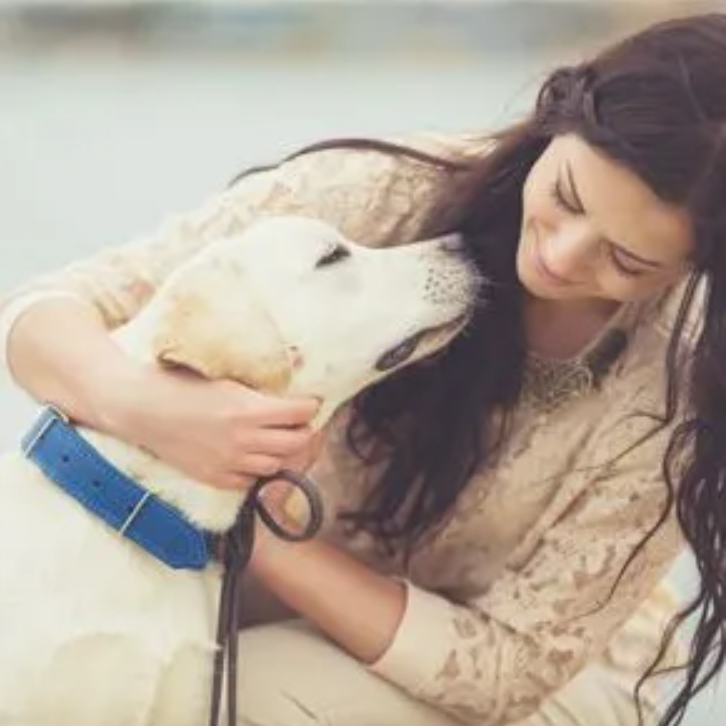 Barnes Veterinary Service
