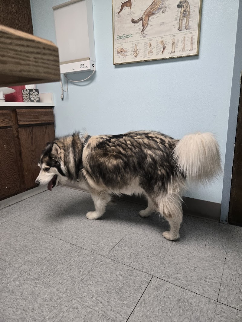 Barnes Veterinary Service