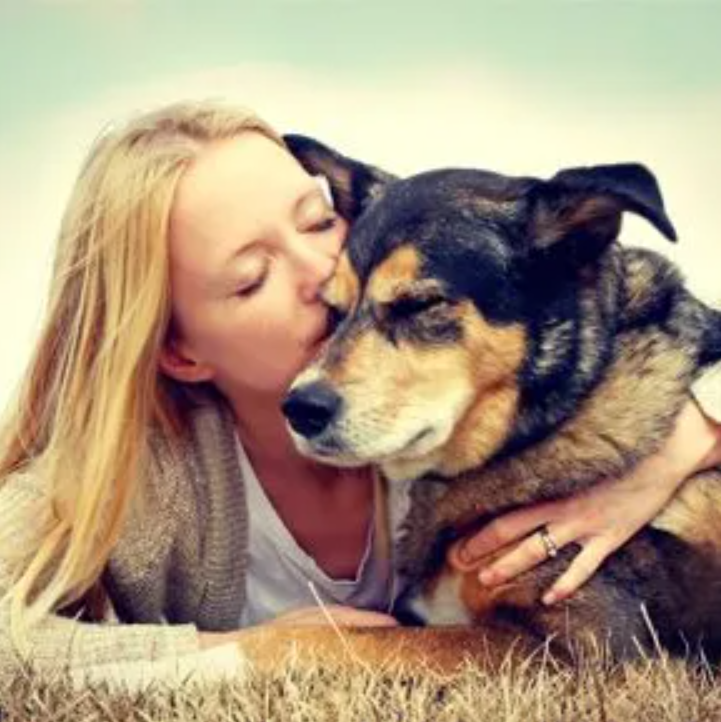 Barnes Veterinary Service