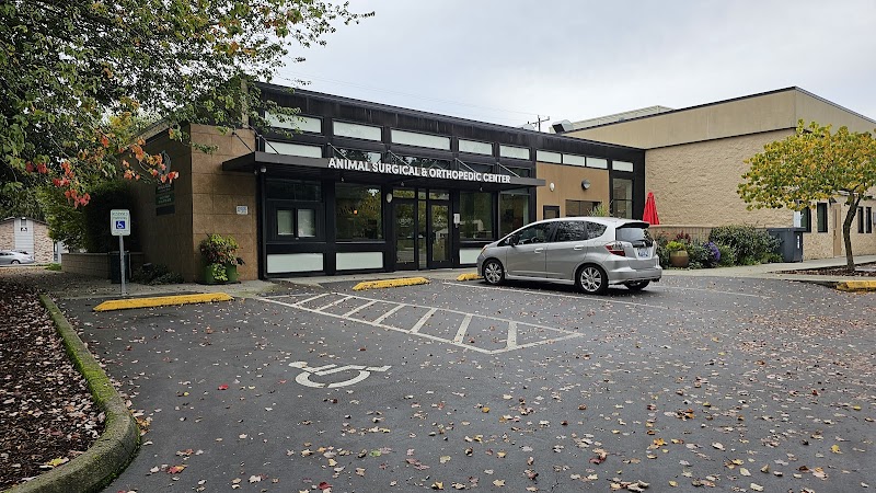 Animal Surgical & Orthopedic Center