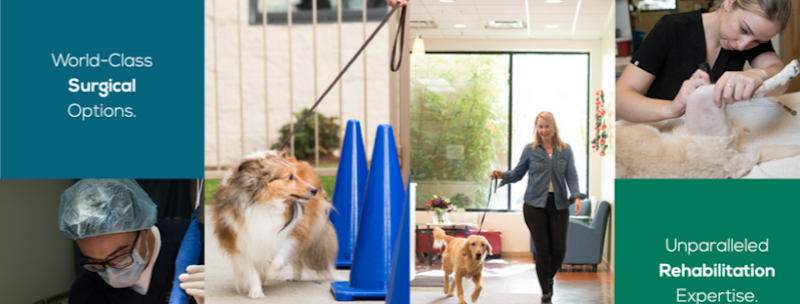 Animal Surgical & Orthopedic Center