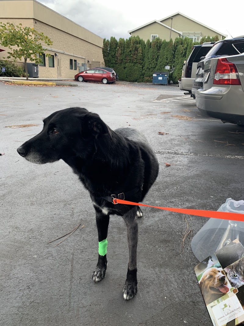 Animal Surgical & Orthopedic Center