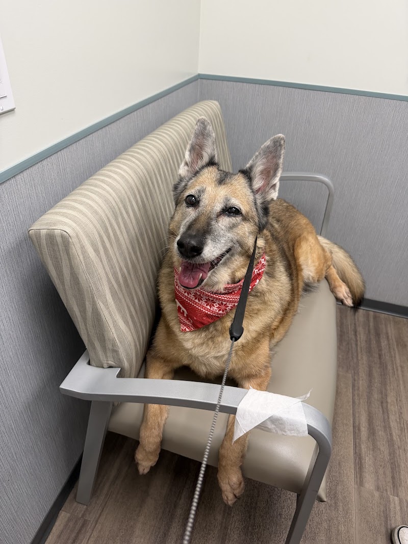 Center Veterinary Clinic and Urgent Care