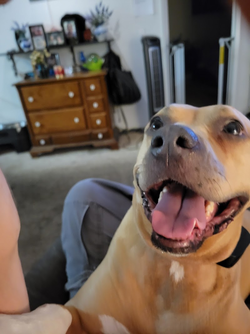 Center Veterinary Clinic and Urgent Care