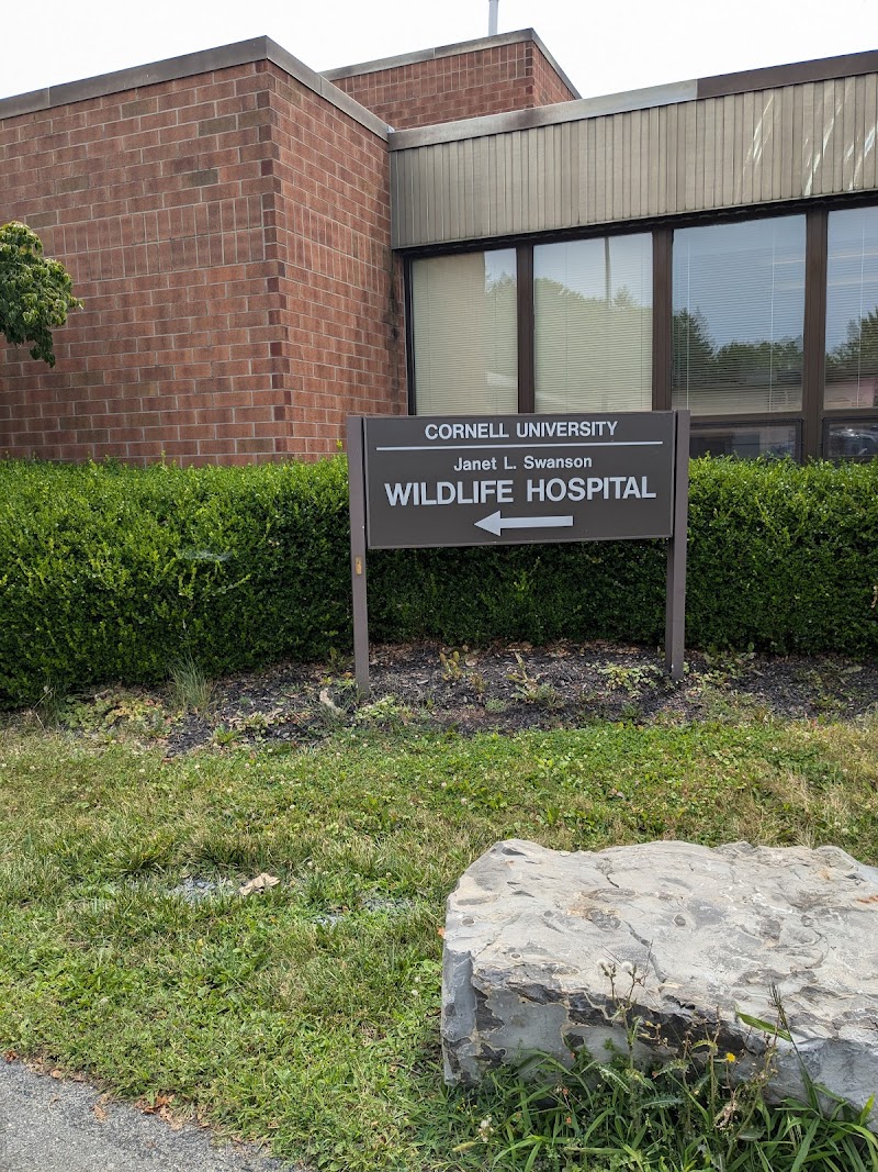 Janet L. Swanson Wildlife Hospital