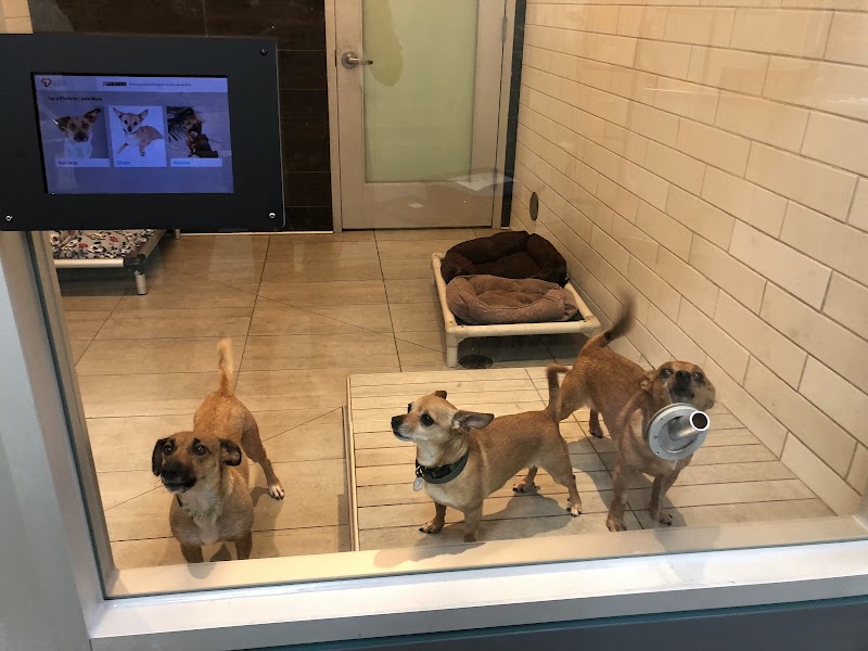 San Francisco SPCA Veterinary Hospital