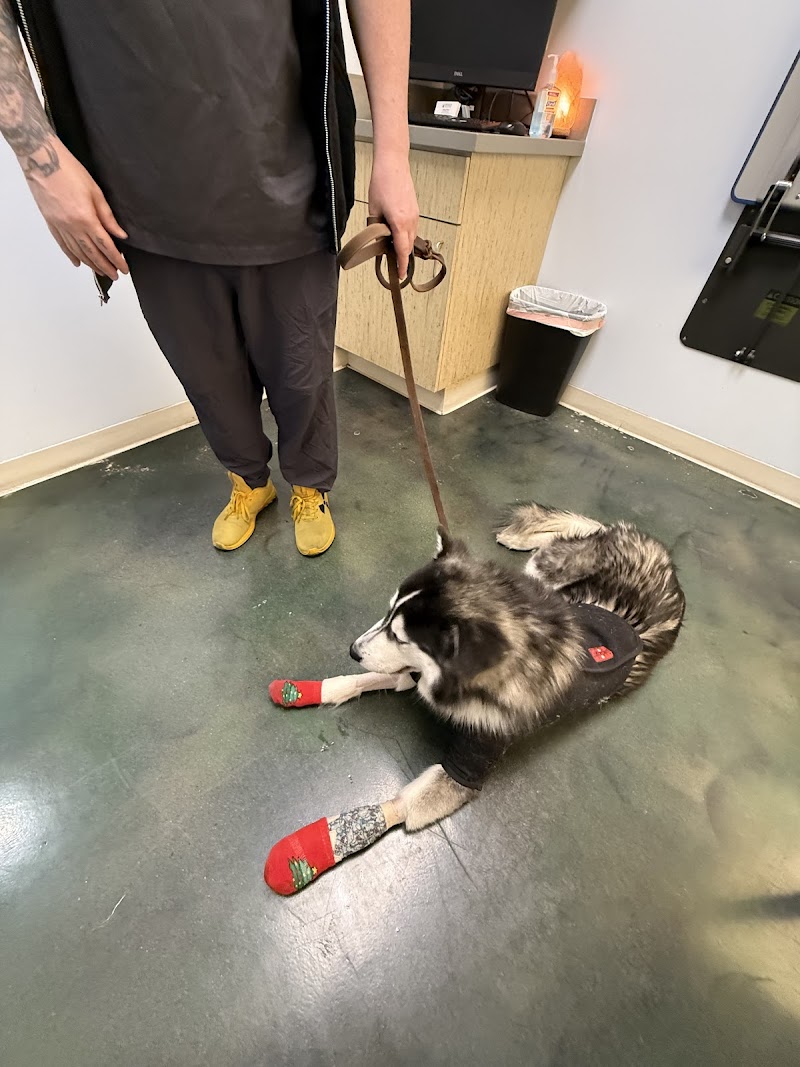 California Animal Rehabilitation