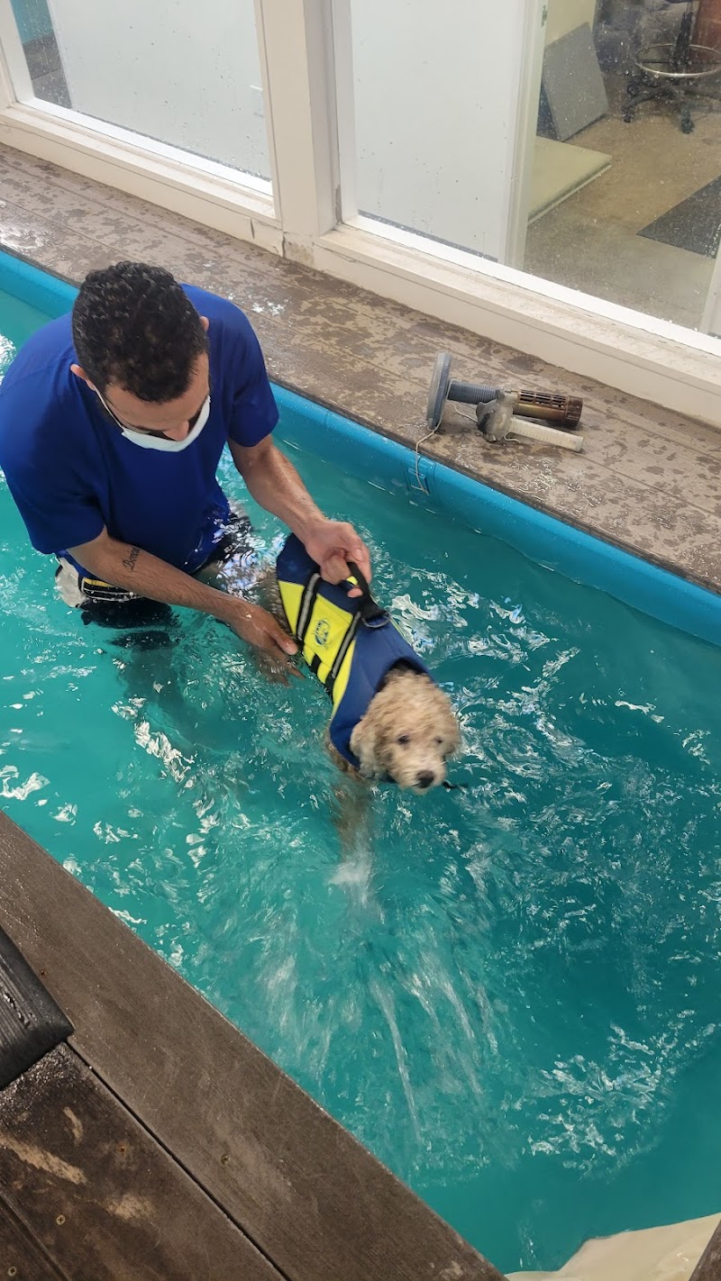 California Animal Rehabilitation