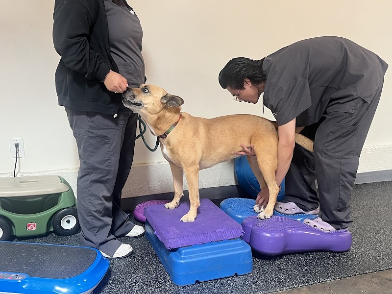 California Animal Rehabilitation