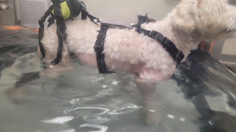California Animal Rehabilitation