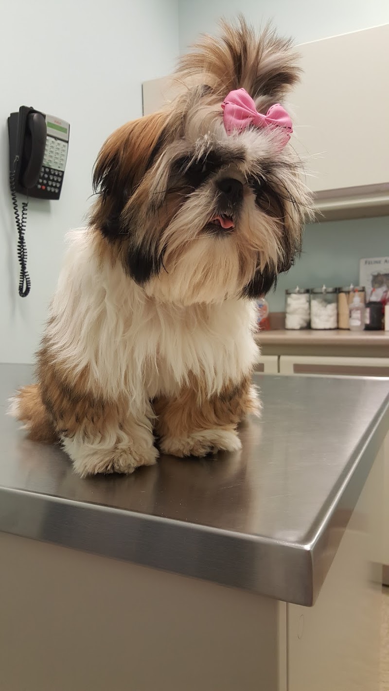 Ravenswood Animal Hospital LLC