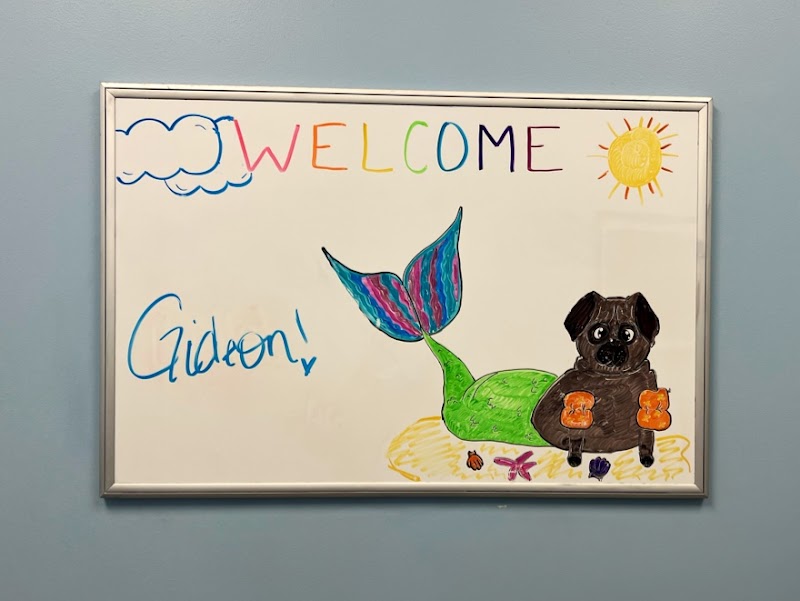 Ravenswood Animal Hospital LLC