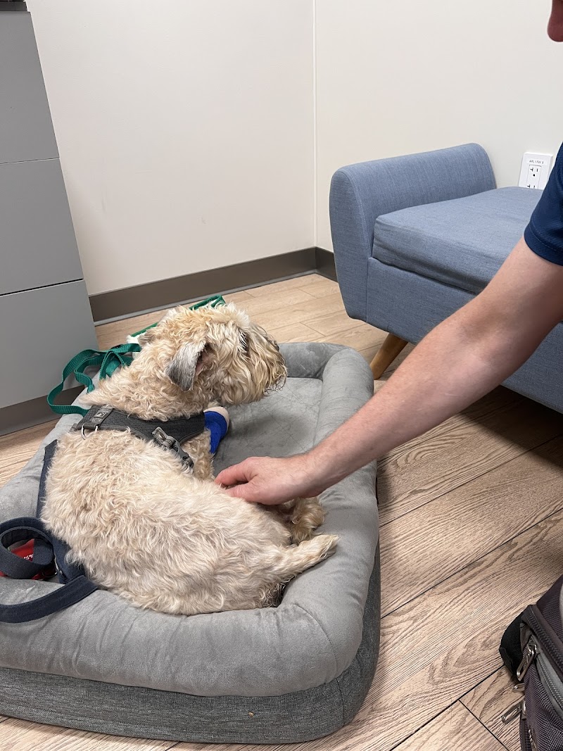 Hospital For Veterinary Surgery