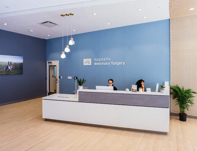 Hospital For Veterinary Surgery