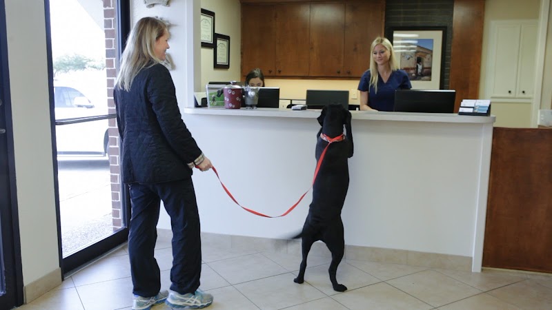 Village Veterinary Clinic