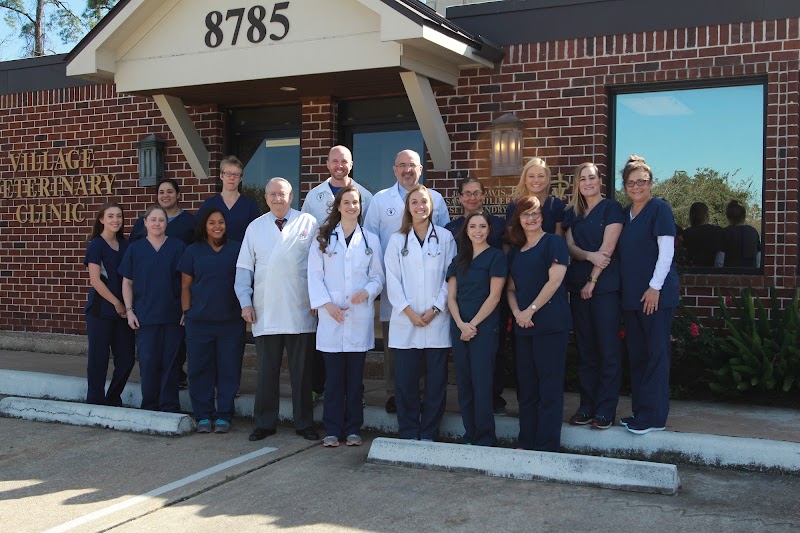 Village Veterinary Clinic