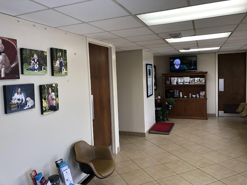 Village Veterinary Clinic