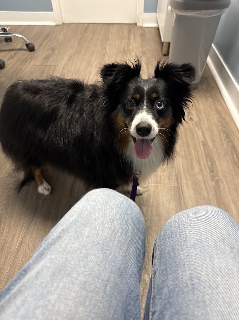 Burlingame Family Pet Hospital