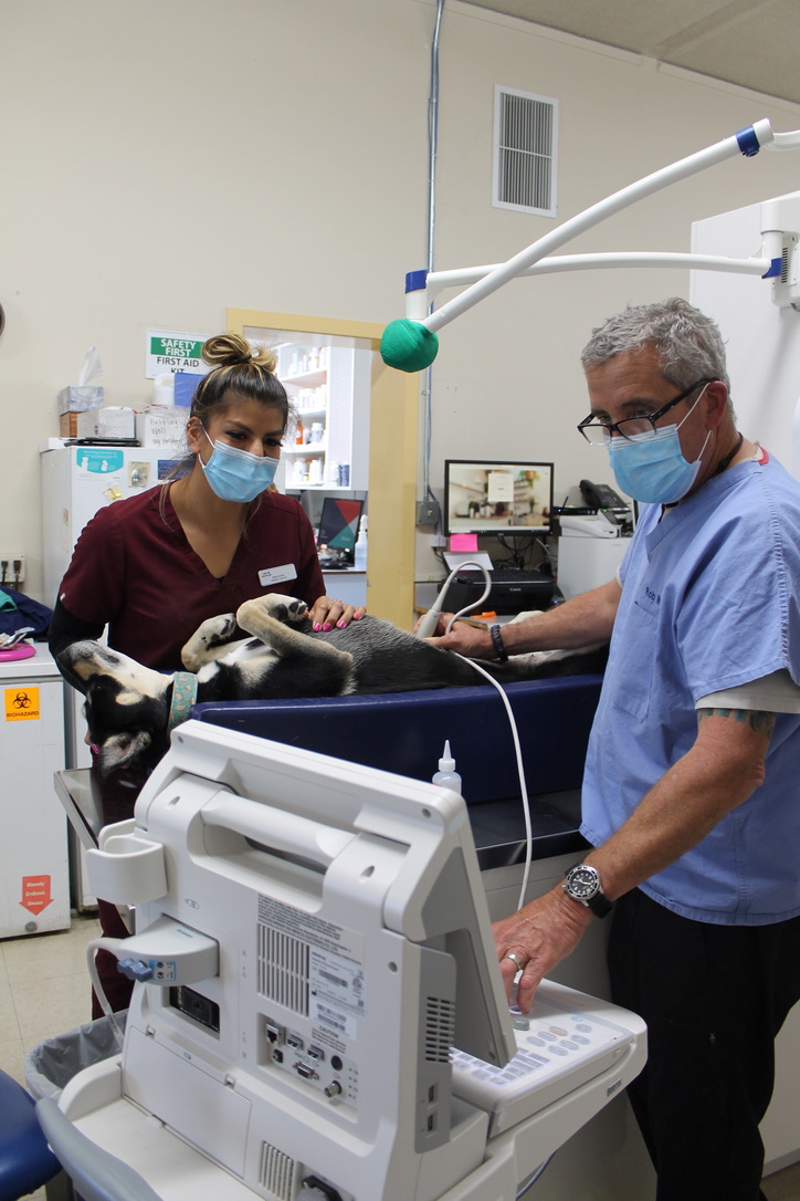 Burlingame Family Pet Hospital