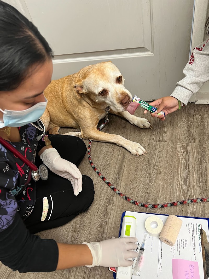 Burlingame Family Pet Hospital