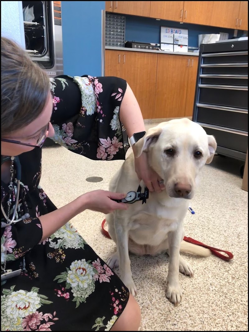 Animal Emergency & Referral Center of Minnesota (AERC)