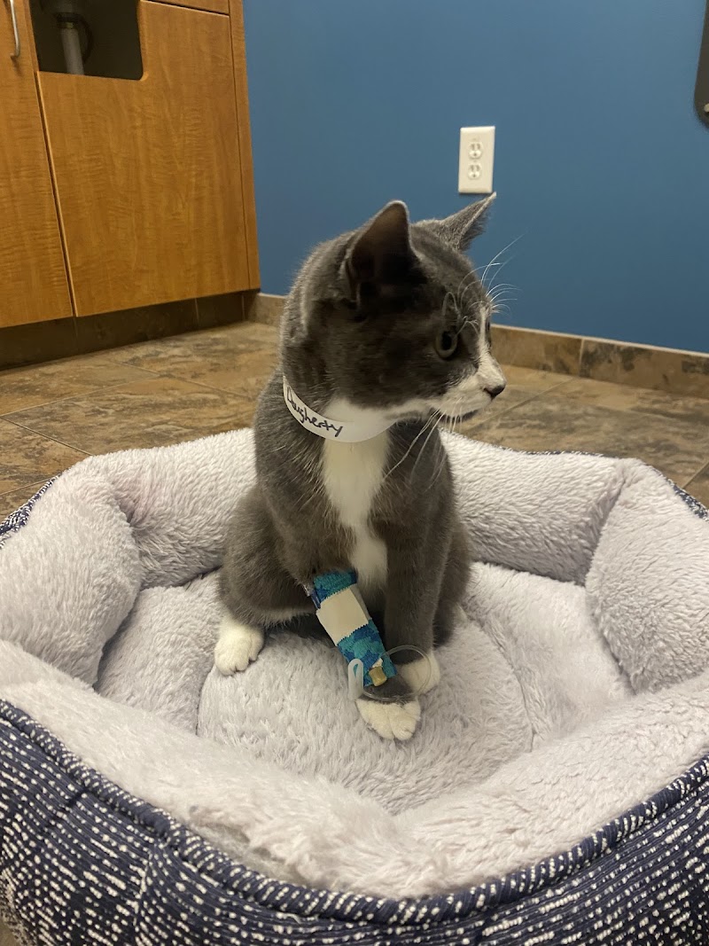 Animal Emergency & Referral Center of Minnesota (AERC)