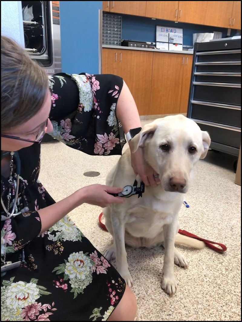 Animal Emergency & Referral Center of Minnesota (AERC)