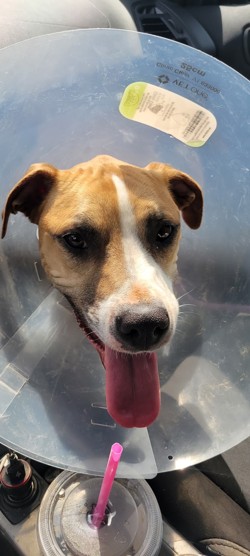 Saint Francis Veterinary Specialists and Emergency