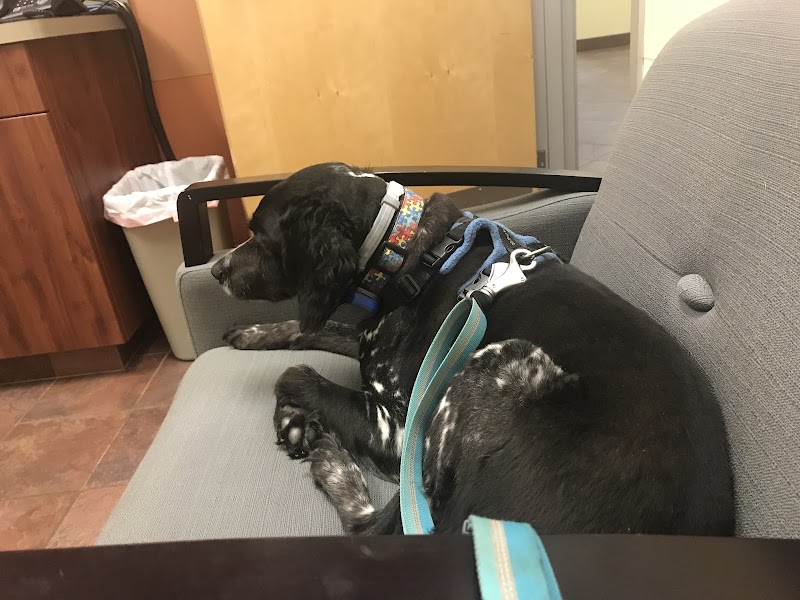 Veterinary Referral Associates