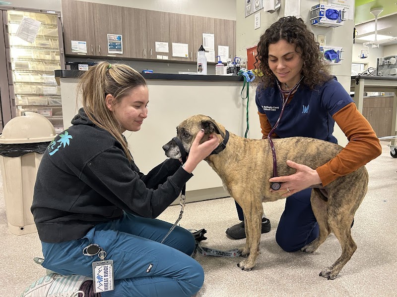 Wheat Ridge Animal Hospital