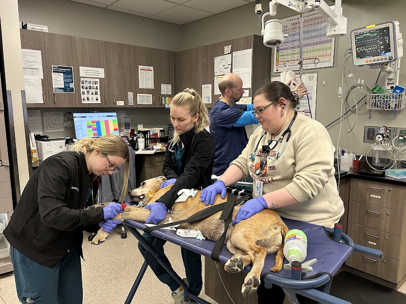 Wheat Ridge Animal Hospital