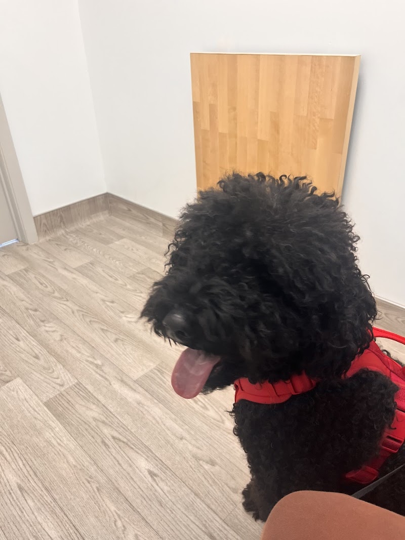 Dexter and Evie Veterinary Clinic + Urgent Care