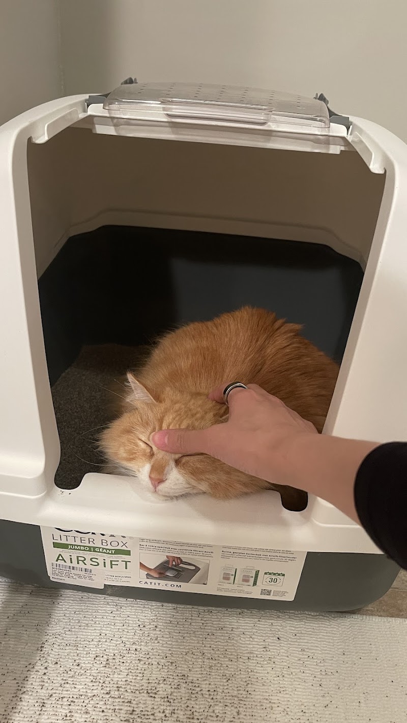 Dexter and Evie Veterinary Clinic + Urgent Care