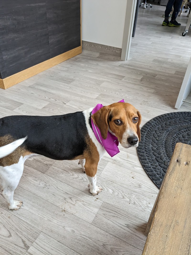 Dexter and Evie Veterinary Clinic + Urgent Care