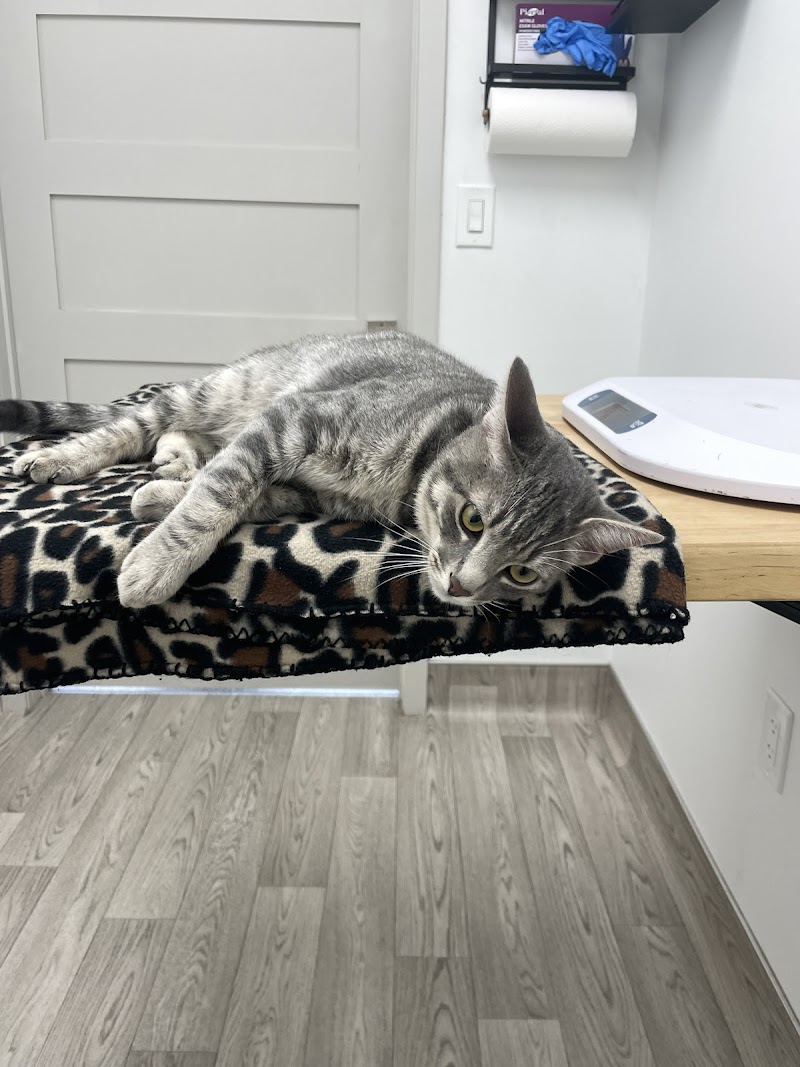Dexter and Evie Veterinary Clinic + Urgent Care
