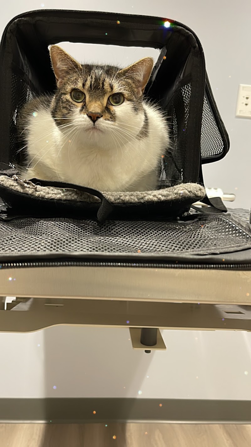 South Park Animal Hospital
