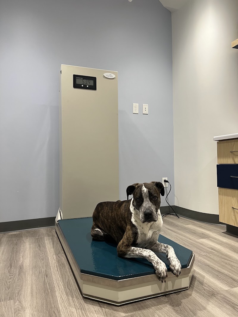 South Park Animal Hospital
